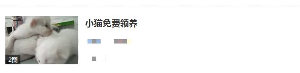 揭露猫贩子及网络买猫的骗局,揭秘那些网上卖猫的人