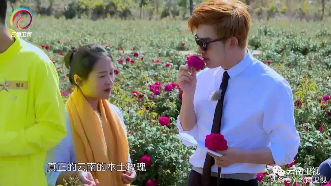 双胞胎潇洒骑马,双胞胎骑行川藏线