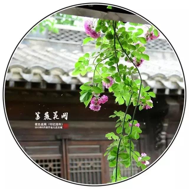 前缘如梦听书全集,前缘如梦小说全名