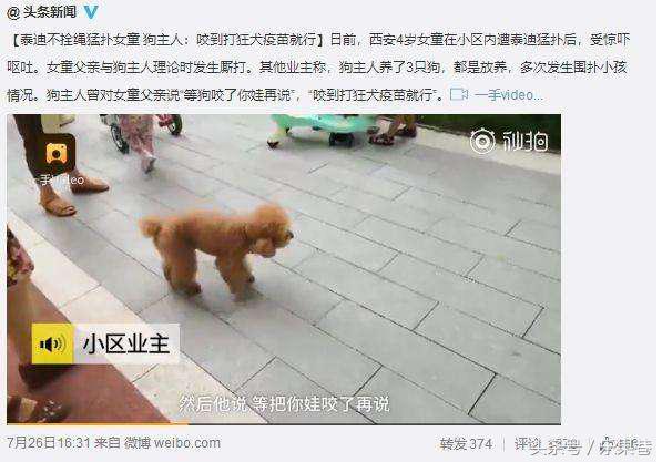 毒狗药异烟肼倒逼中国养狗文明？20分钟可致死，真的只毒狗不害人吗