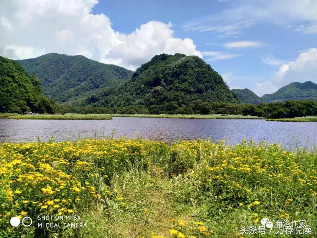 徐博：云中湿地—大九湖