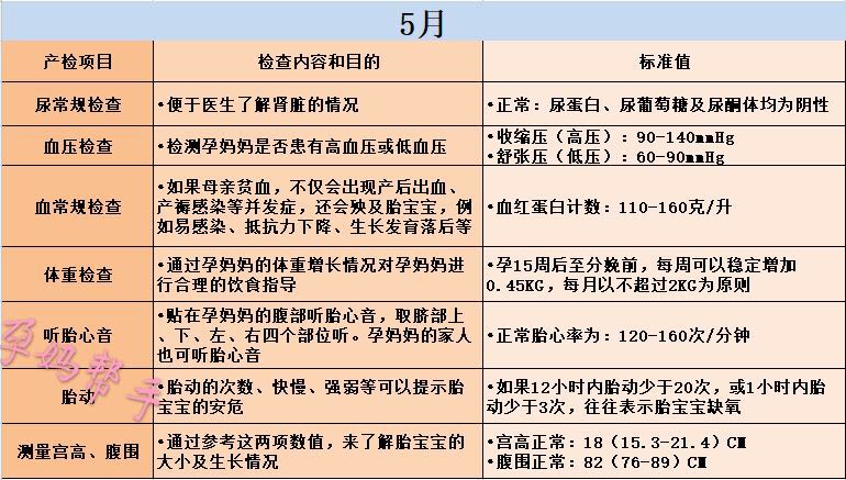 怀胎十月产检项目一览表,怀胎十月要经过哪些孕期检查