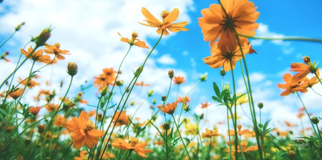 这座高铁直达的小县城，藏着圣托里尼的浪漫，济州岛的清新！