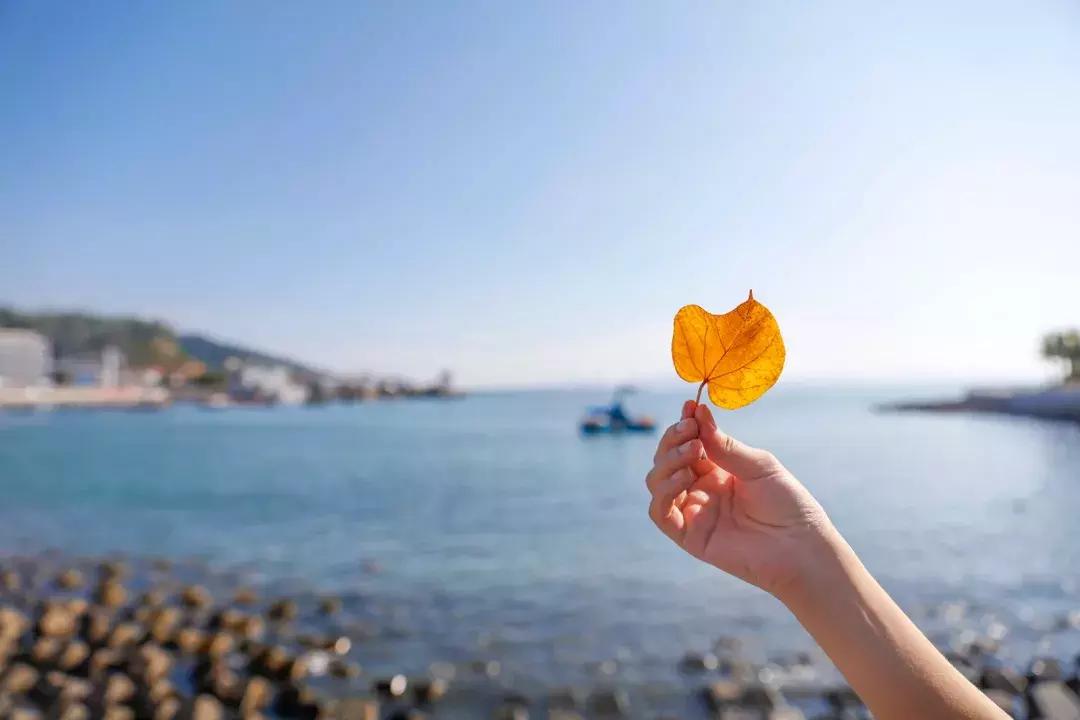 顺德人来潮汕旅游,顺德想去海边玩