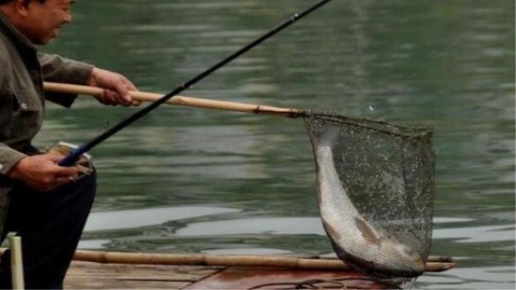 钓鱼停口解决方法,钓鱼截口怎么解决