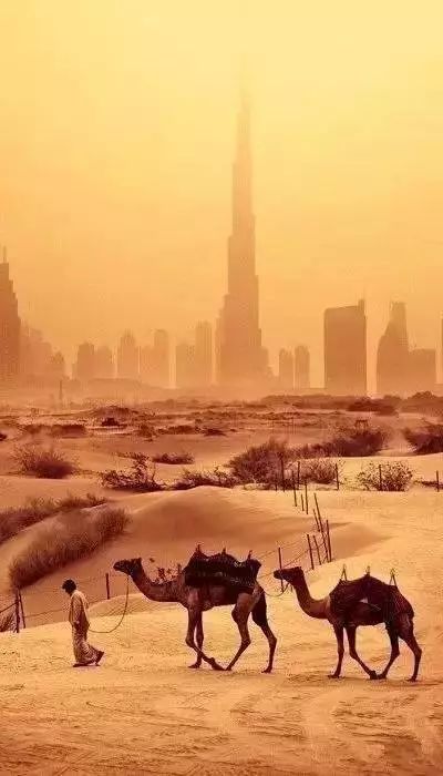 揭秘迪拜的真实生活,记录迪拜真实生活