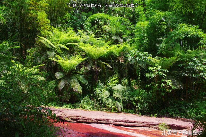 李冰冰来松花湖滑雪了吗,李冰冰山水