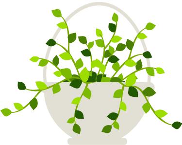 十款营养又下奶的月子餐,吃什么素食下奶最快最多最有效