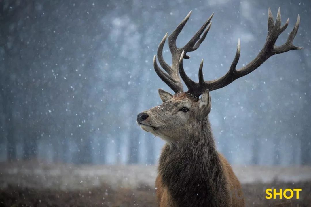 你忙着过七夕,而我用25张图纪念我们共度的这个夏天|夏末特供