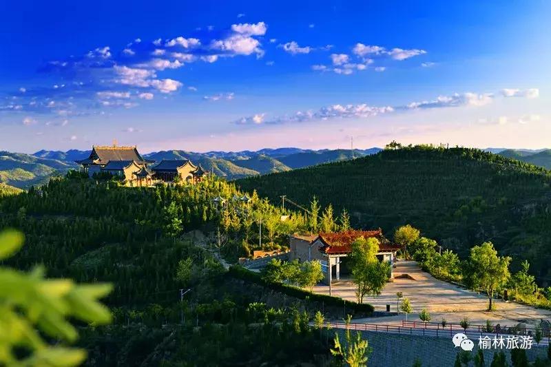 走遍榆林寻古树、品农味、游乡村，感受最清爽的一抹绿之子洲篇