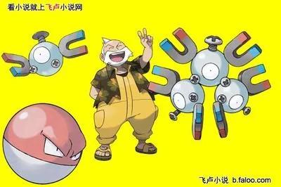 神奇宝贝丰源,宝可梦丰源地区道馆馆主