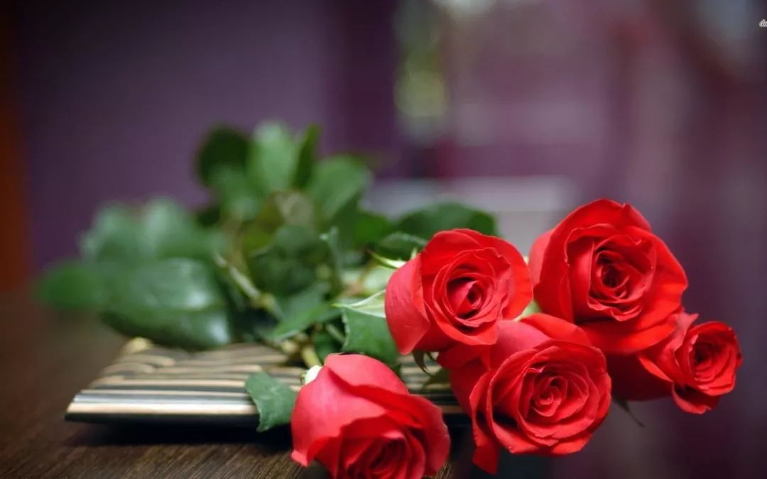 「词风雅韵」李瑾｜点绛唇十九韵十九花