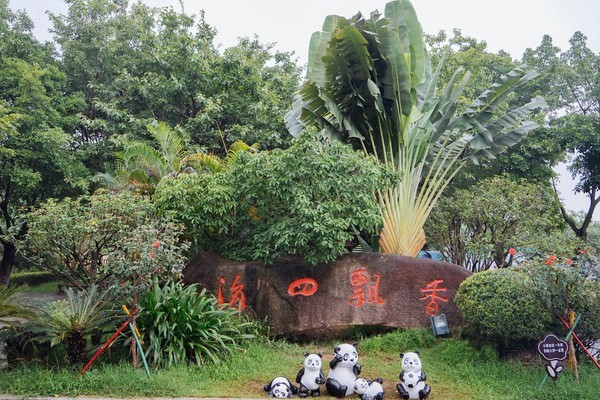 这是一条有气味的街,宝贝如云,还是莞香的起源地