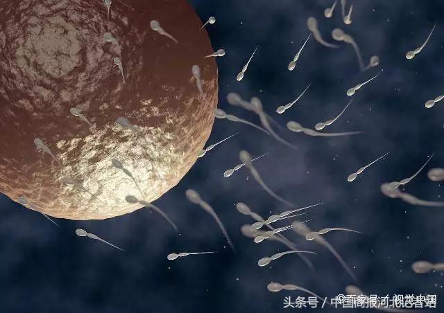 “精子”进入女性身体却没“受精”，去哪里呢？看完可能就清楚了