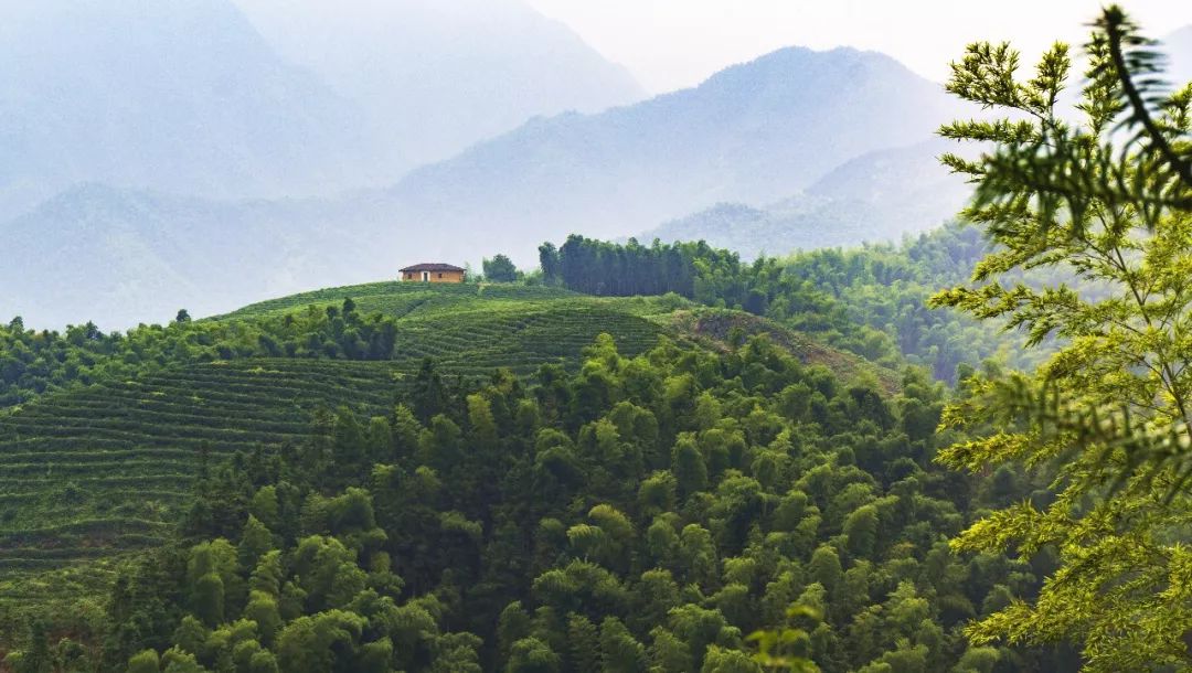 金庸笔下最美的十大旅游景点,金庸笔下的绝美风景