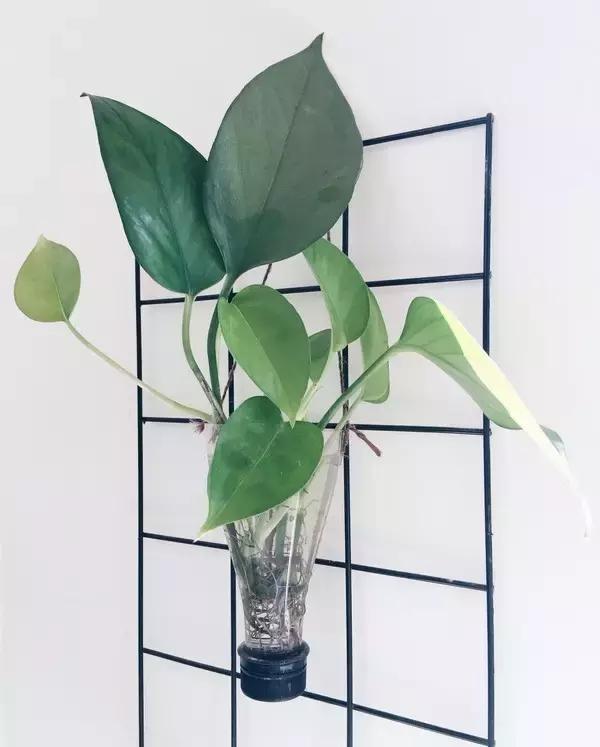 小两口把宜家风装进95㎡新家，美的像一幅画！绝了