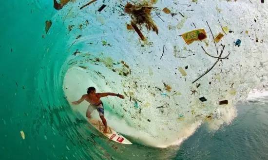 当人肉被动物从超市买回来……