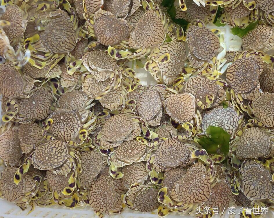 爱上东海湾的美,尽享那片无人打扰的海