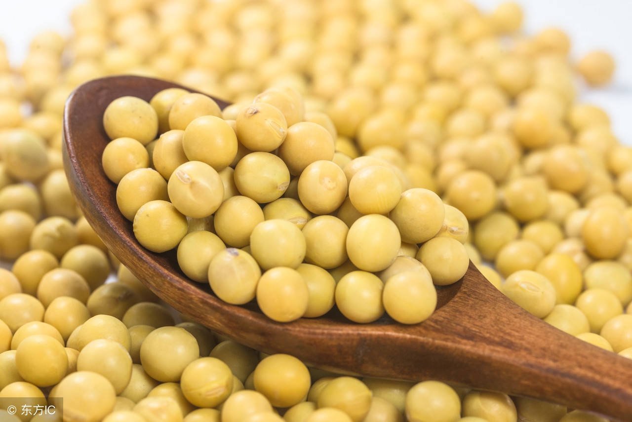 长期吃黄豆的好处和坏处,黄豆有什么好处啊