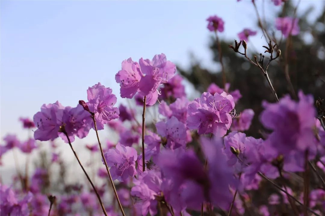 触手可及的只是短暂的幸福,触手可及的才是真实的