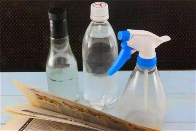 阳台种菜小飞虫怎么消灭最彻底,阳台种菜好多飞虫怎么办