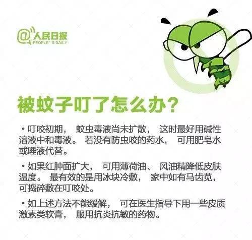 如何彻底消灭世界上所有的蚊子,要想消灭蚊子要克服恐惧
