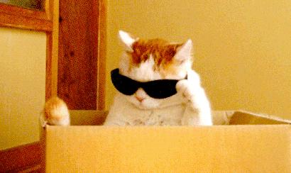 电饭锅如何使用省电,电饭锅用久了耗电快怎么办