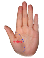 命运掌握在自己手中手势,命运掌握在自己手中全集