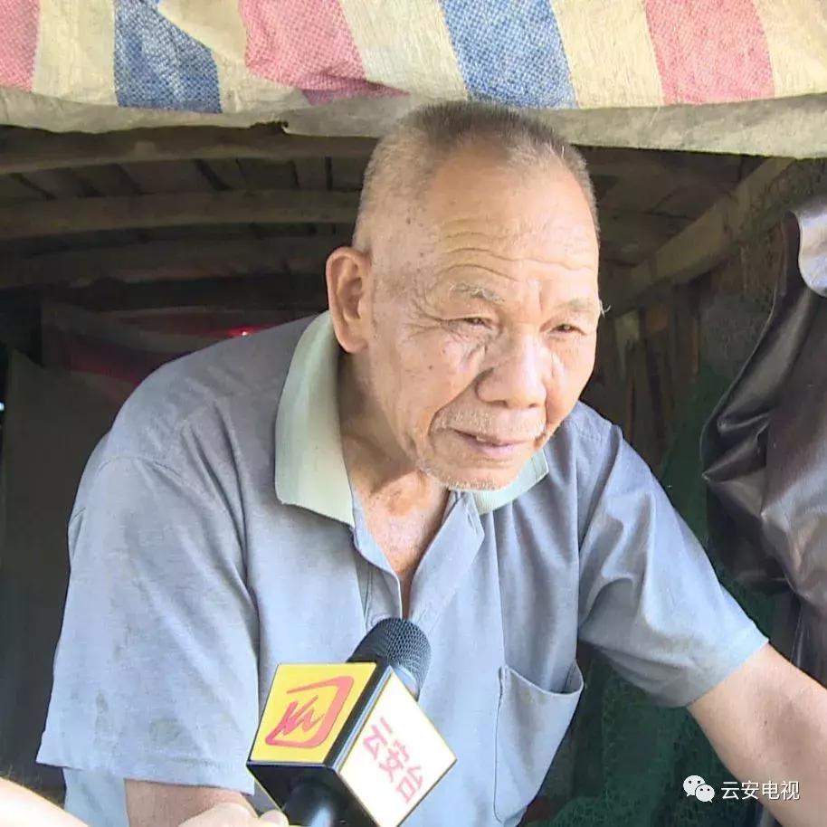 佛山南海九江的渔民在西江捕鱼,梧州西江渔民捕鱼