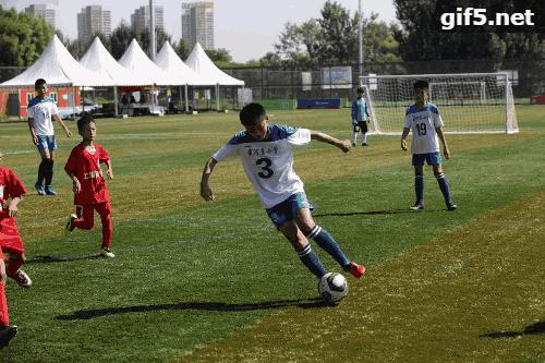 和平精英杯赛事,和平精英和平杯总决赛