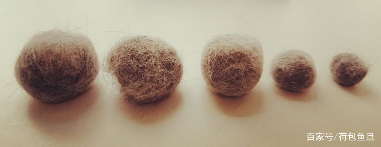 养一只猫家里好臭怎么办,养一岁猫该怎么清理粪便