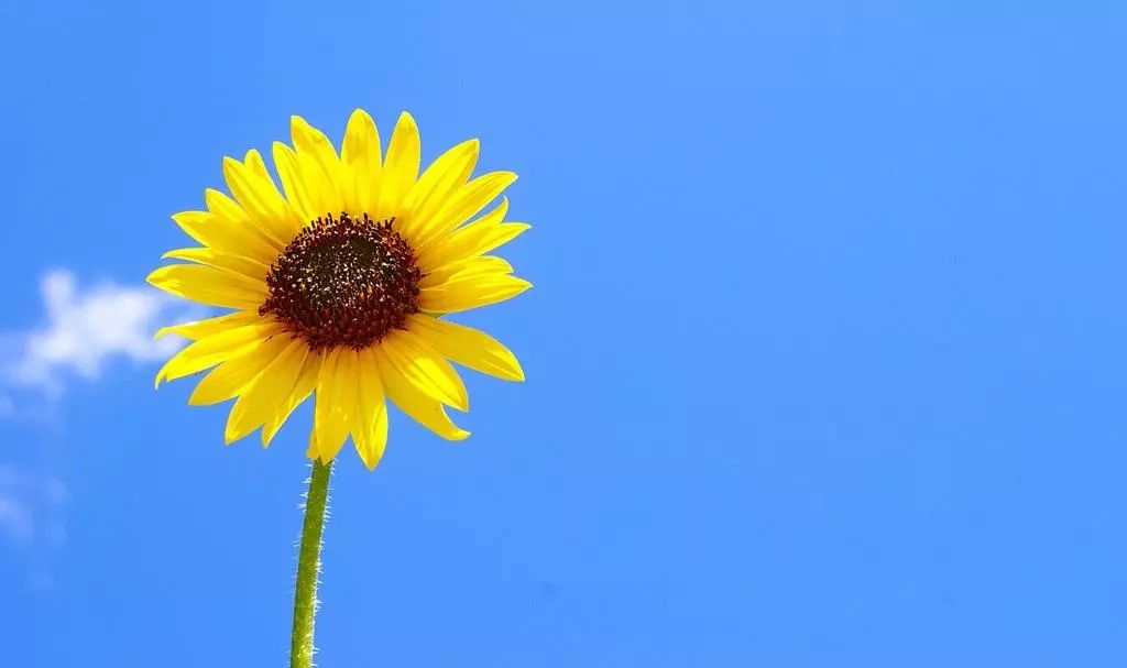 适合户外运动的平价防晒霜测评,运动型防晒霜平时可以用吗