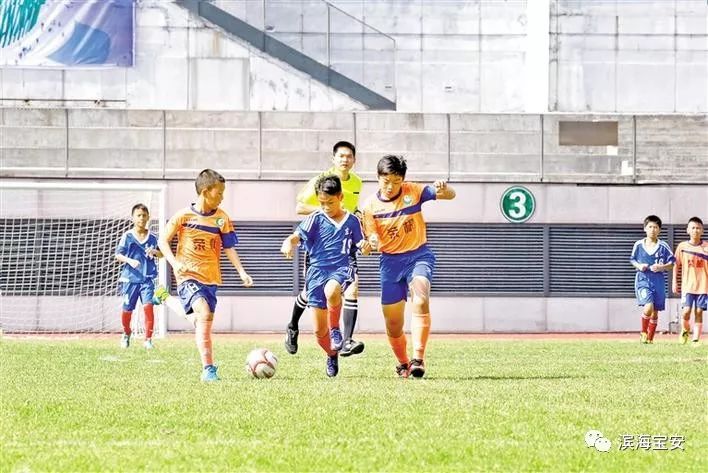 广东省深圳市青少年足球锦标赛,宝安狮子山青少年足球暑假训练营