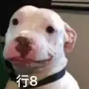 300块的Dior999居然被一支50块的“野鸡”KO了...