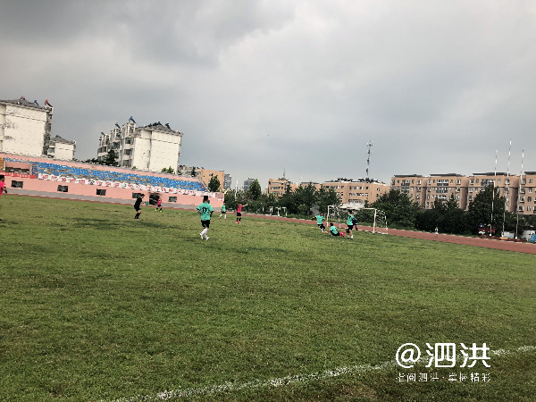 启程队喜提冠军！泗洪县第二十九届“男子汉杯”足球赛完美落幕