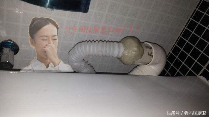 洗手间一直有股恶臭,洗手间总是有异味怎么办