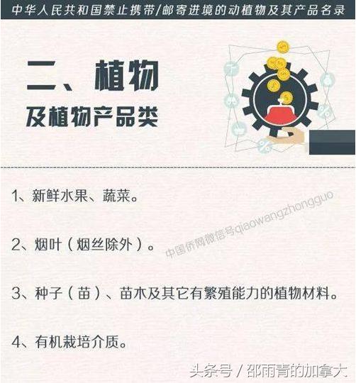 出国回来带东西有没有限制,出国哪些东西不能带上飞机的