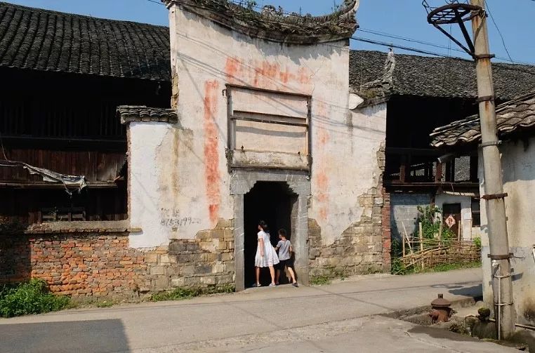 茶有金花还能喝吗,茶里的金花是怎么回事