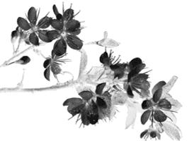 唐山坐火车可以去北京吗,现在唐山北站去北京可以了吗