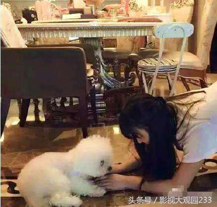 明星家的豪宅杨幂,杨幂住豪宅