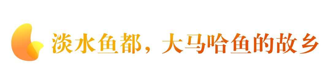 看日出、逗黑熊……从抚远出发穿越“两极”