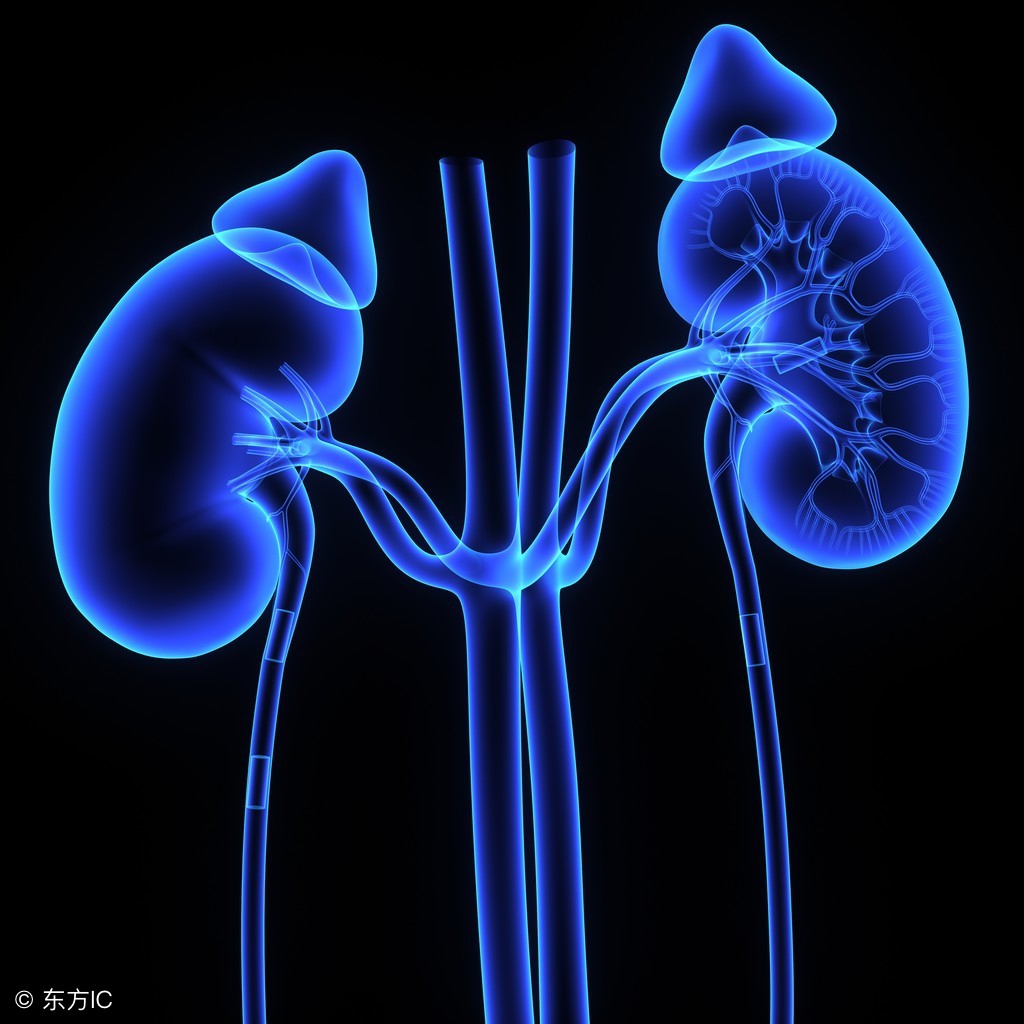 肾结石手术方法和注意事项,肾结石的手术方法最好的十种