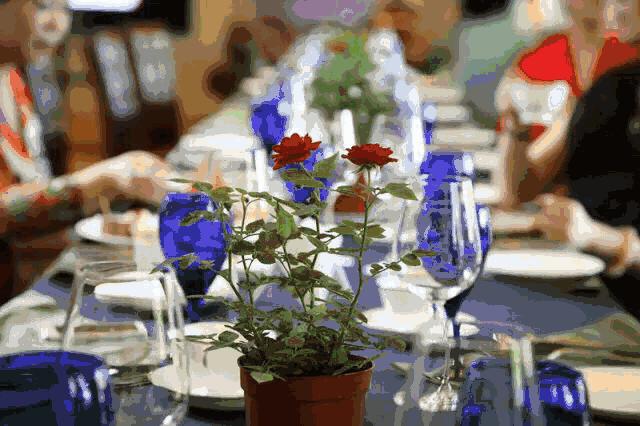 七夕攻略请一定收好,七夕穿搭指南没有撩不到的仔