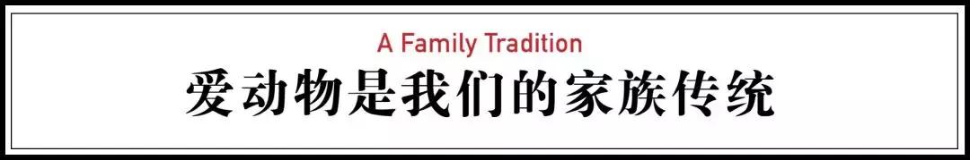 出身底层却逆袭的人,出身底层的漂亮女孩有多惨