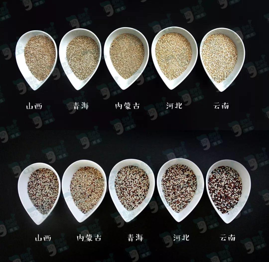 藜麦——碧昂斯靠它瘦了50斤的超级食物！｜双11砍价大优惠