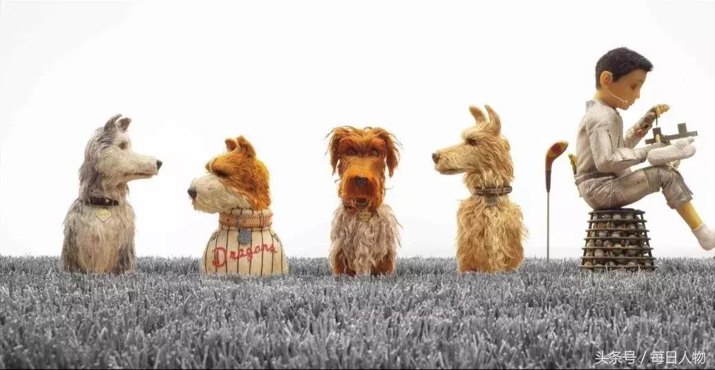 狗狗与人的感人新闻,近来跟狗有关的新闻