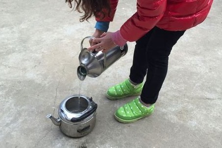 诱入蜂王最快最安全有效的方法,怎么找新蜂王最快最有效