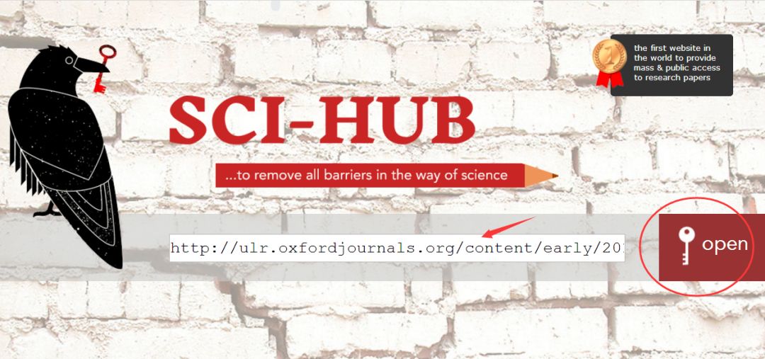 谷歌新功能大全,谷歌的所有功能