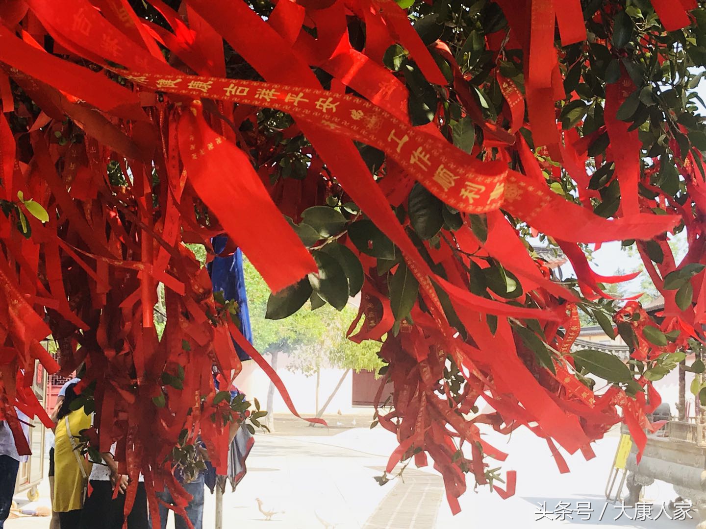 “情人”逢节“情味”浓，人人都有深情在