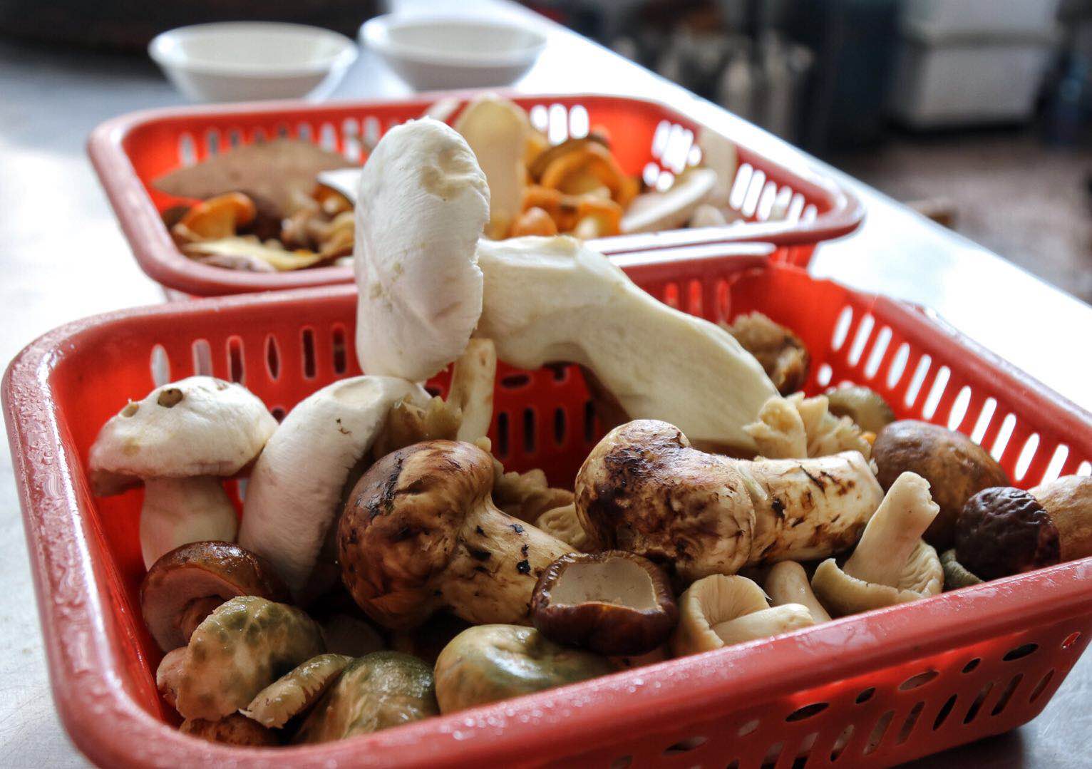 云南南华野生菌火锅,南华美食野生菌